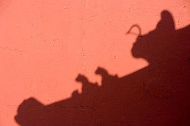 《上古卷轴5：天际》周年纪念版可创建小型水族馆